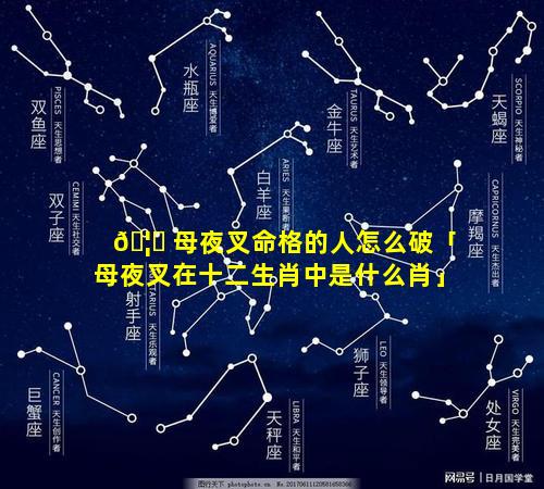 🦆 母夜叉命格的人怎么破「母夜叉在十二生肖中是什么肖」